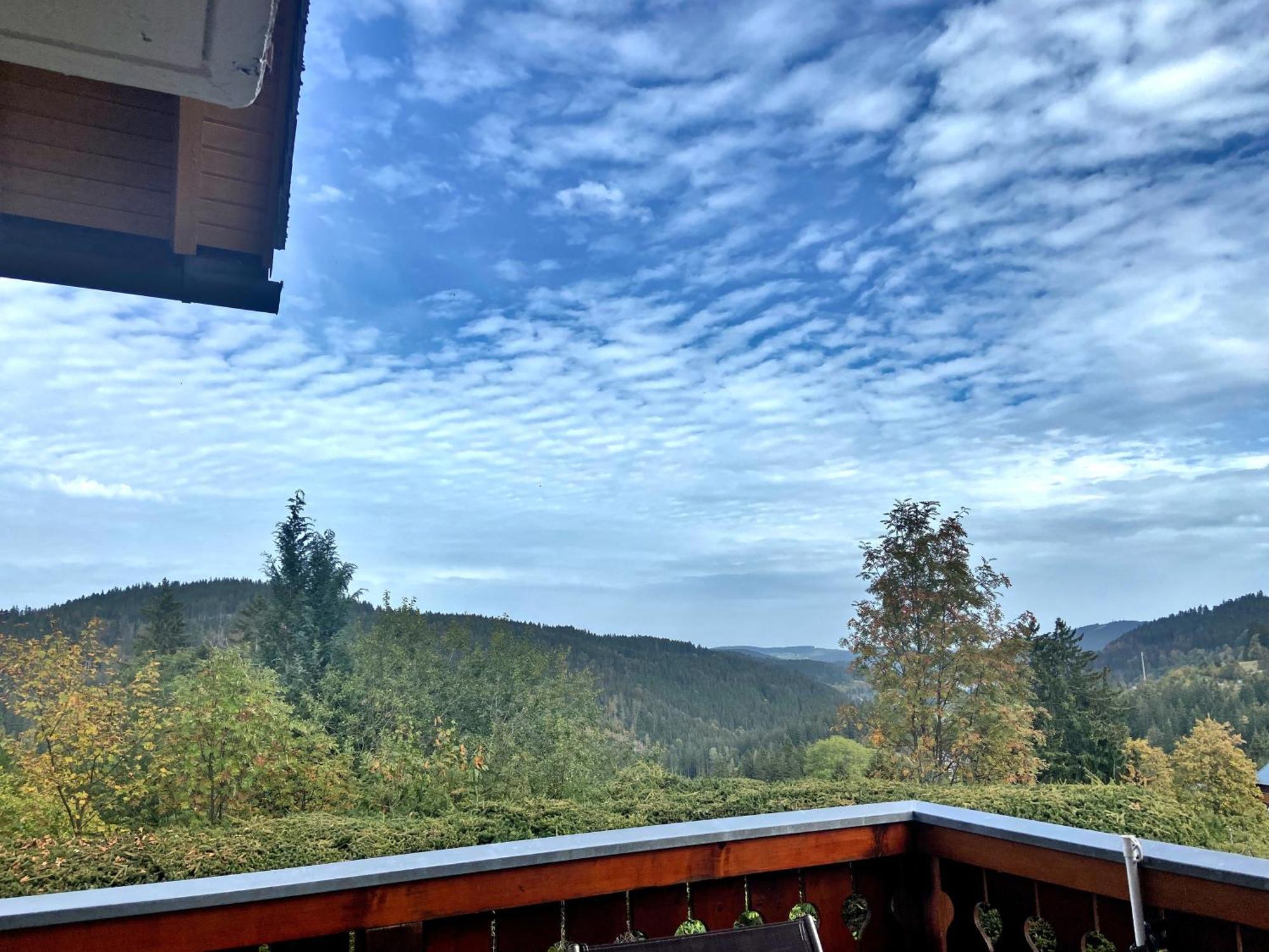 Ferienwohnung Seeblick Nr 2 5-Zimmerwohnung - Feldberg Baerental Rotwasser Exterior foto